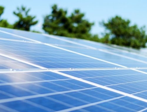 Panneaux solaires : Tout savoir pour produire sa propre énergie